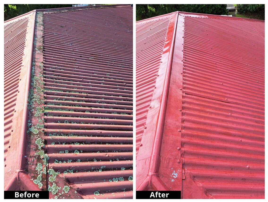 Roof Clean & Treatment