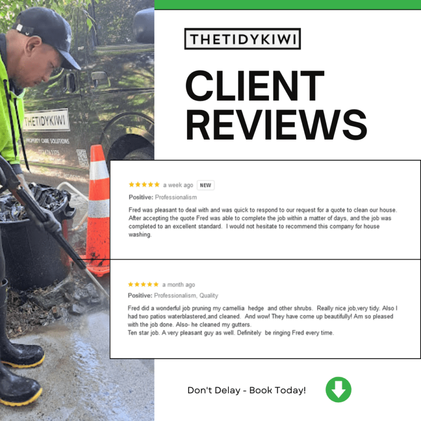 The Tidy Kiwi Client Review